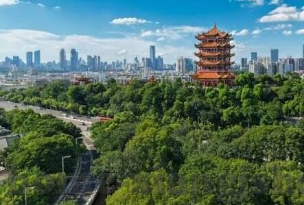 欧美亚洲日韩中文字幕在线播放-全球影视新视界，探索多语言字幕的在线播放体验